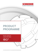IBG
